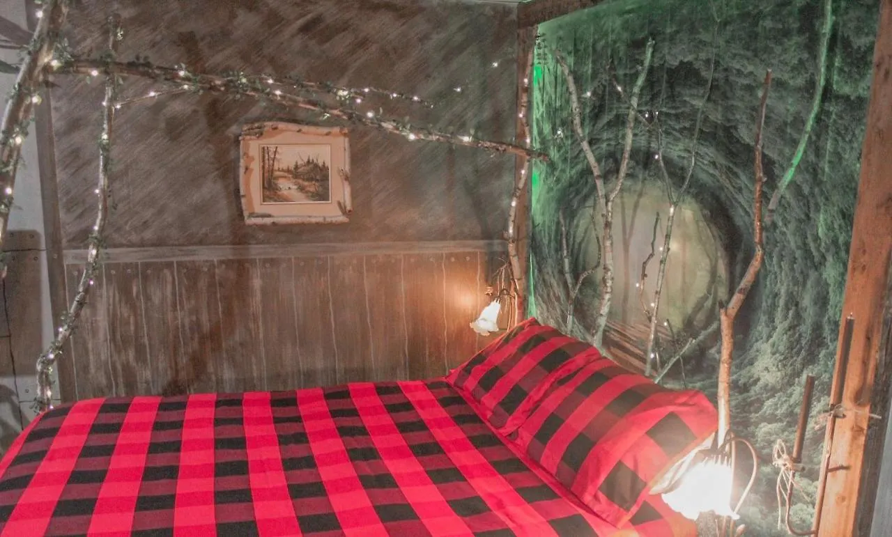 Le Shack 10Min To Downtown Apartment Quebec City