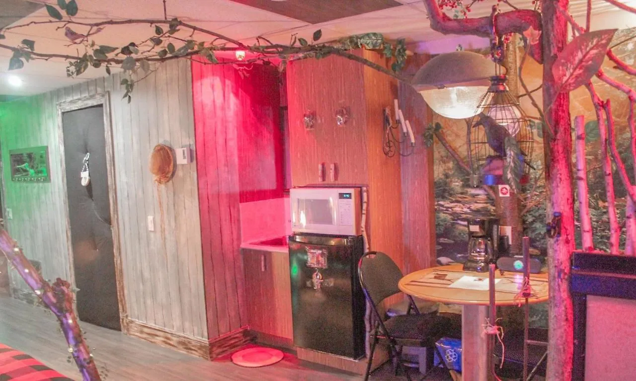 Le Shack 10Min To Downtown Apartment Quebec City 0*,  Canada